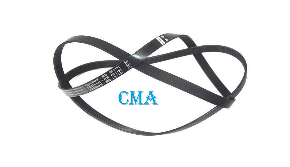 Ремень 1181 H8 PH OPTIBELT ARISTON C00066521
